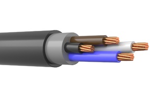 ВВГнг(А)-LS 4х70,0 мс -1 (Алюр)